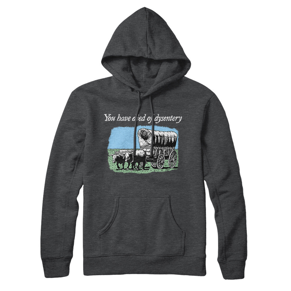 You Have Died Of Dysentery Hoodie | Funny Shirt from Famous In Real Life