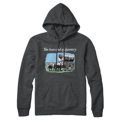 You Have Died Of Dysentery Hoodie Charcoal Heather | Funny Shirt from Famous In Real Life