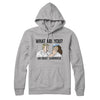 What Are You? An Idiot Sandwich Hoodie Heather Grey | Funny Shirt from Famous In Real Life