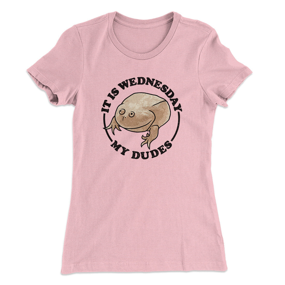 It Is Wednesday My Dudes Women's T-Shirt | Funny Shirt from Famous In Real Life