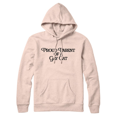 Proud Parent Of A Gay Cat Hoodie Pale Pink | Funny Shirt from Famous In Real Life