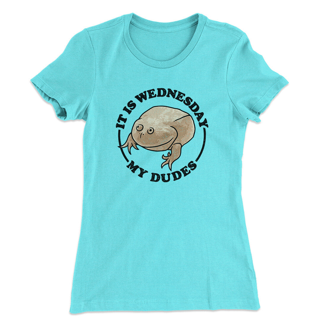 It Is Wednesday My Dudes Women's T-Shirt | Funny Shirt from Famous In Real Life