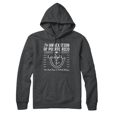 The Annexation Of Puerto Rico Hoodie Charcoal Heather | Funny Shirt from Famous In Real Life