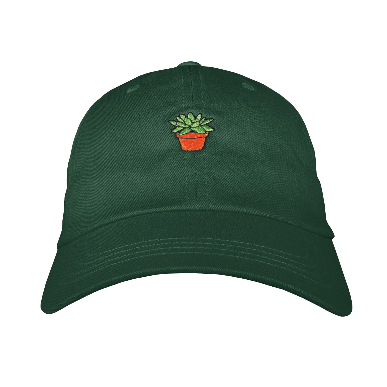 Succulent Dad Hat | Funny Shirt from Famous In Real Life