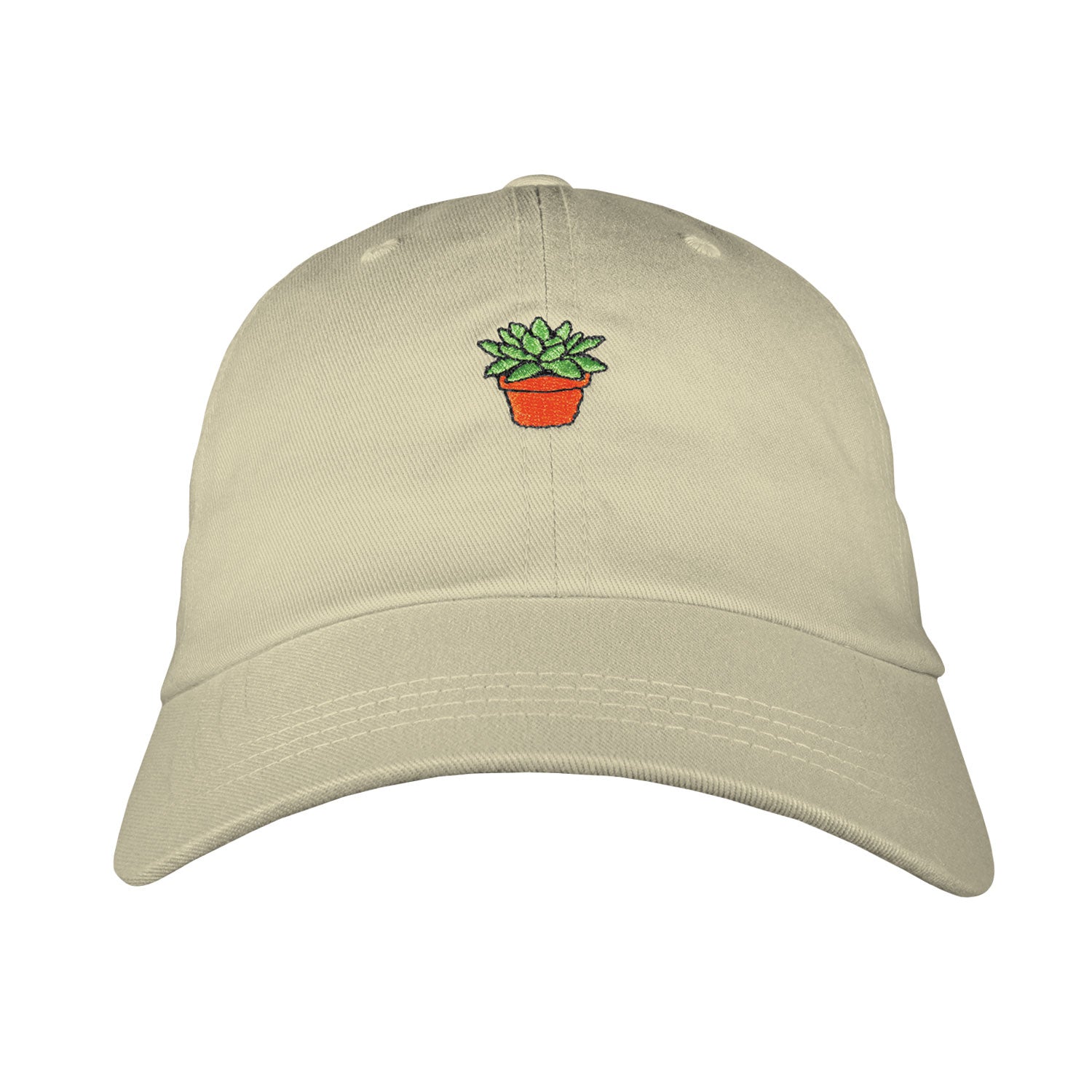 Succulent Dad Hat | Funny Shirt from Famous In Real Life