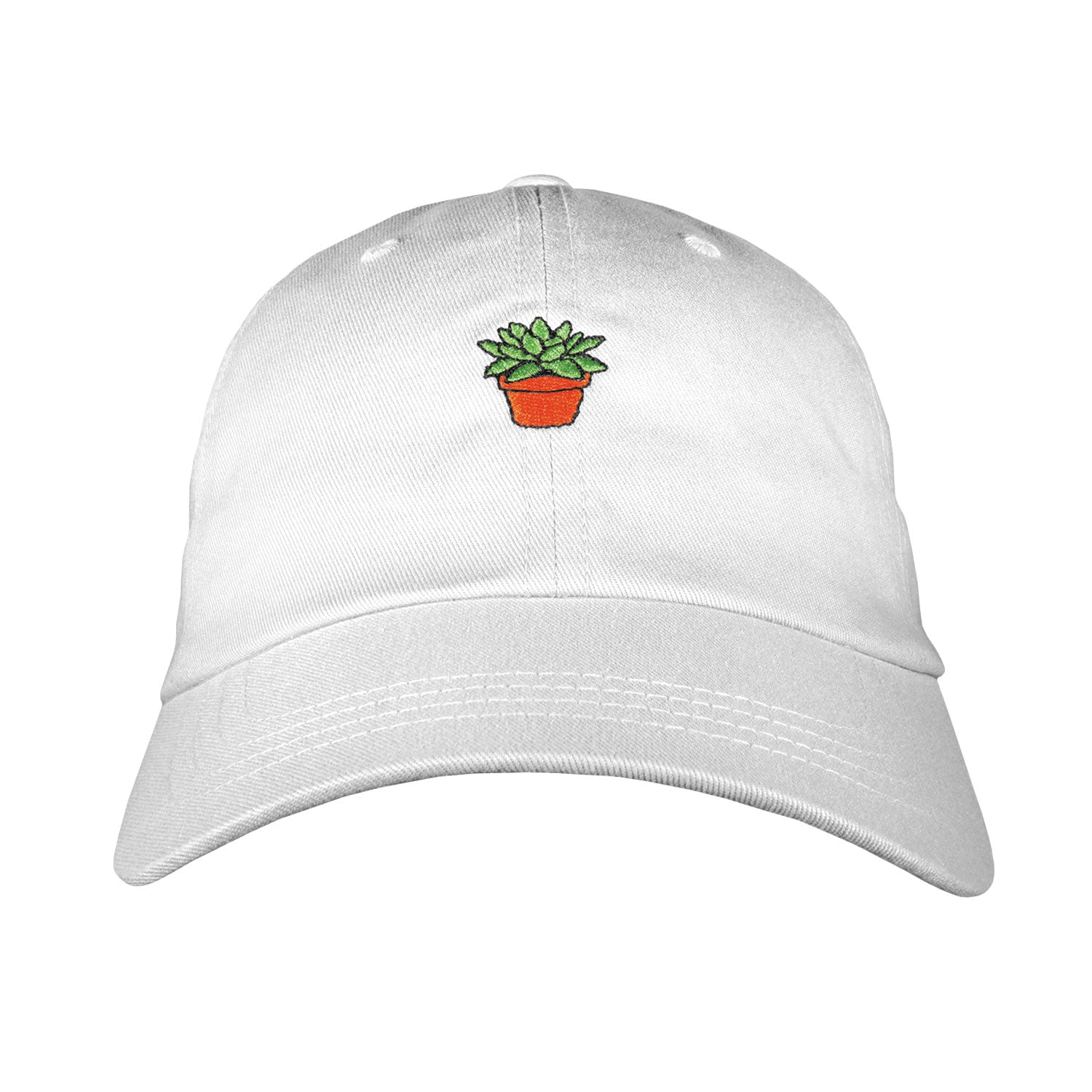 Succulent Dad Hat | Funny Shirt from Famous In Real Life